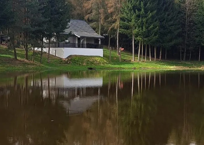 Oaza Las Zagozd 2 Olchowiec  fotoğrafı